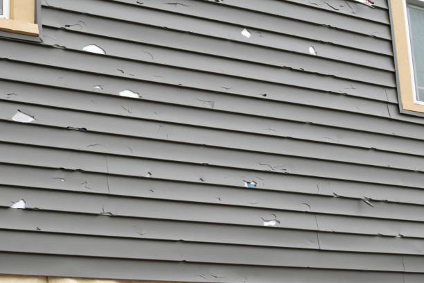 Best Siding for Multi-Family Homes  in USA